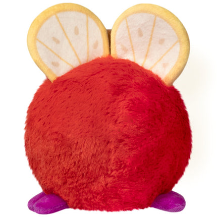 Snacker Fruit Fly Back Image