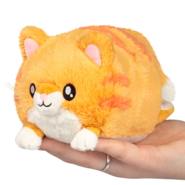 Snacker Kitty S1E5 Main Image