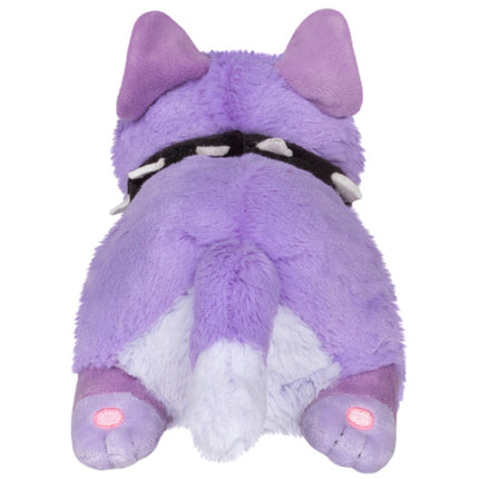 snacker phlox the cat back image