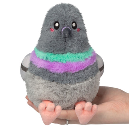 Snacker pigeon front view