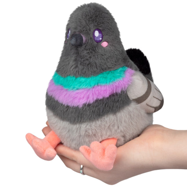 snacker pigeon front view