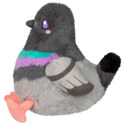 snacker pigeon side view