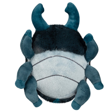 snacker stag beetle underside image