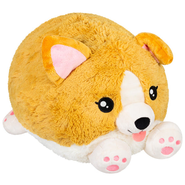 Squishable Baby Corgi Product Image