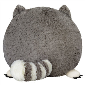 squish baby raccoon 15 back