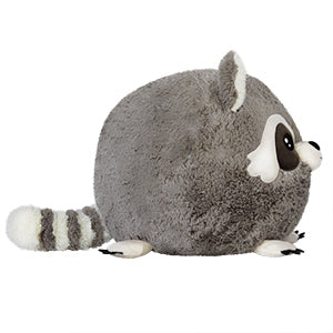 squish baby raccoon 15 side