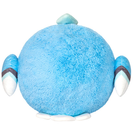 squish blue jay 15 back