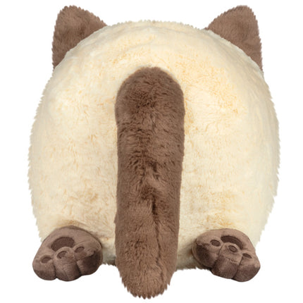 colorpoint kitty back view