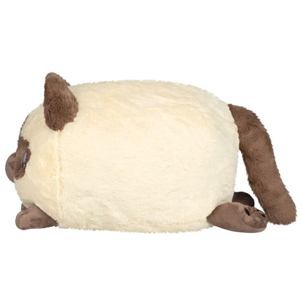 colorpoint kitty side view