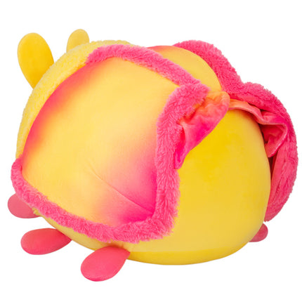 squish rosy maple moth 15 back