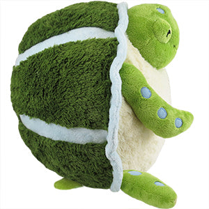 Disappointed Turtle Meme Turtle’s Enthusiasm Is Contagious! #foryou