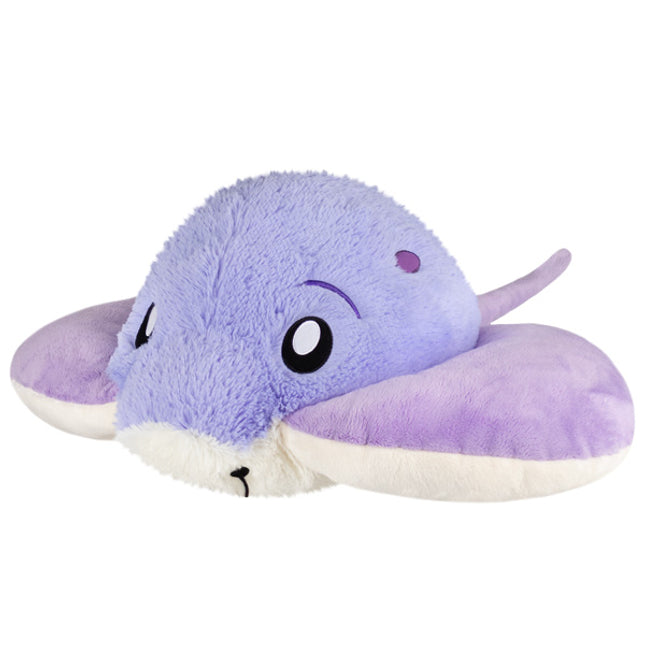 Stingray front facing photo