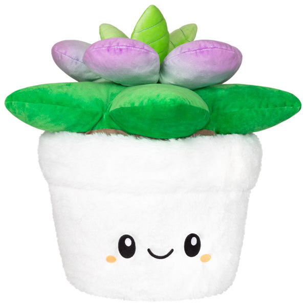 stuffed succulent Squishable Succulent