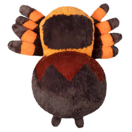 Tarantula topview image