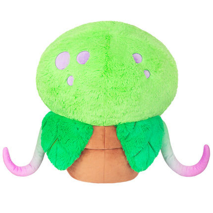 squish venus fly trap 15 back