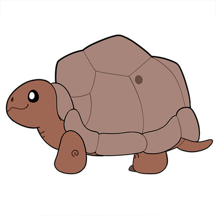 tortoise graphic 