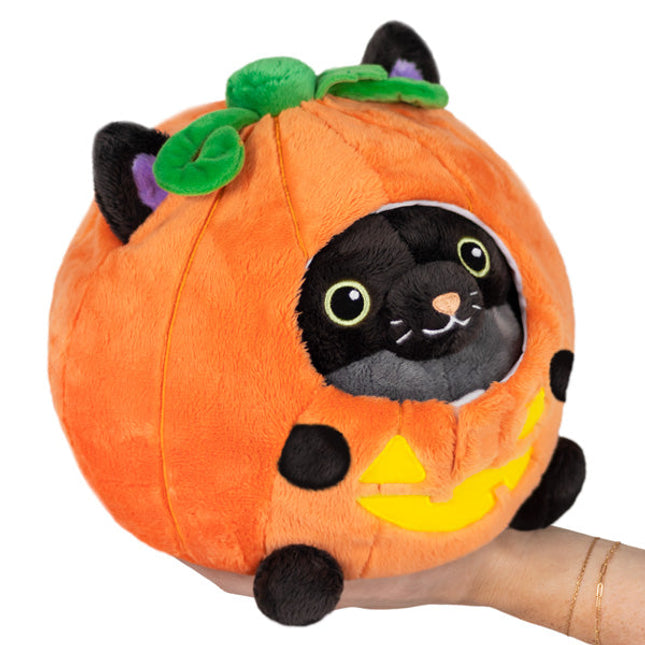 Undercover Kitty in Pumpkin Product Image
