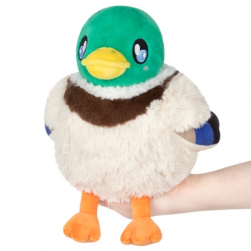 Mini Squishable Mallard Duck