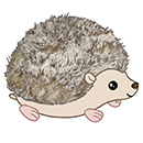 Mini Squishable Baby Hedgehog thumbnail