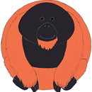 Squishable Orangutan thumbnail