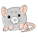Squishable Rattie thumbnail