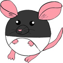 Squishable Rat thumbnail