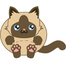 Squishable Siamese Cat thumbnail