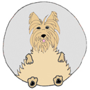 Squishable Scoobs the Yorkie thumbnail